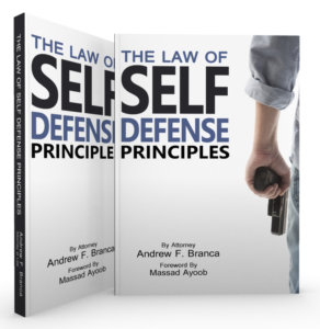 principles 2 copies boxshot 3d principles 2 copies boxshot 3d